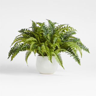 Potted Faux Fern