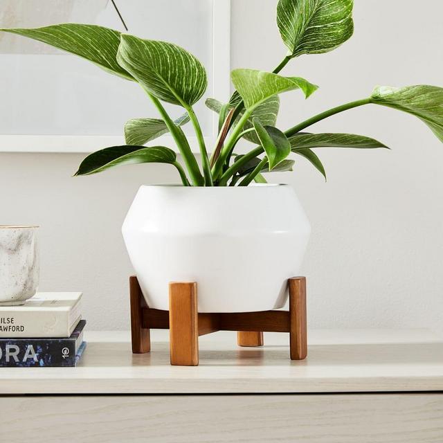 Ilya Tabletop Planter, Small, White, 9in