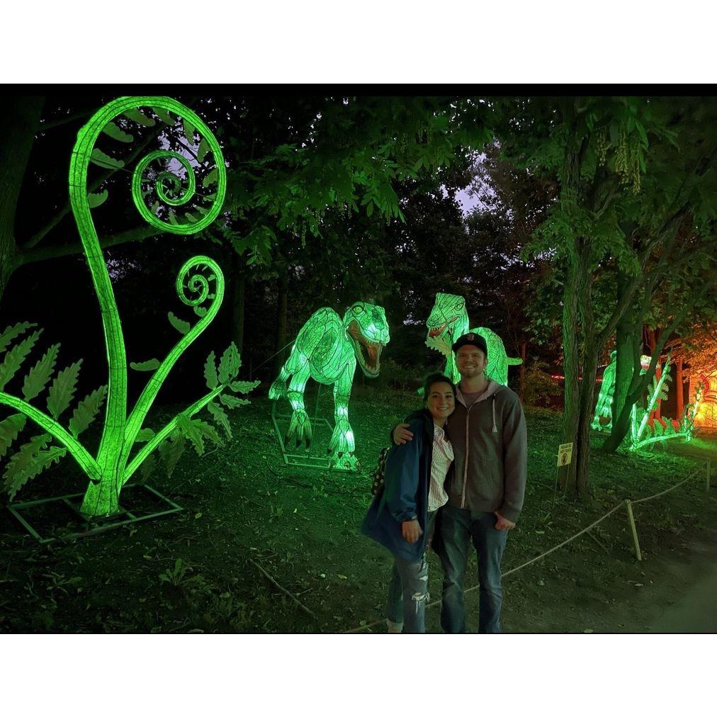 Franklin Park Zoo lights