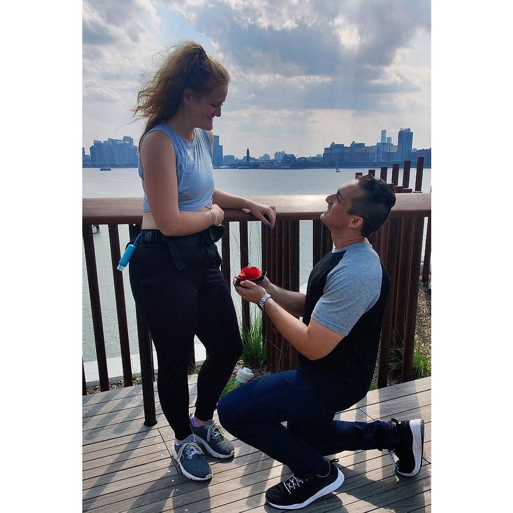 Proposal in New York