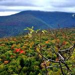 Giant Ledge Trailhead