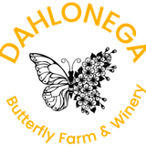 Dahlonega Butterfly Farm