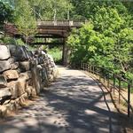 Swamp Rabbit Trail