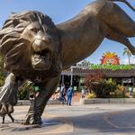 San Diego Zoo