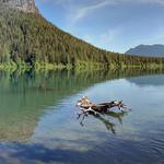 Rattlesnake Lake