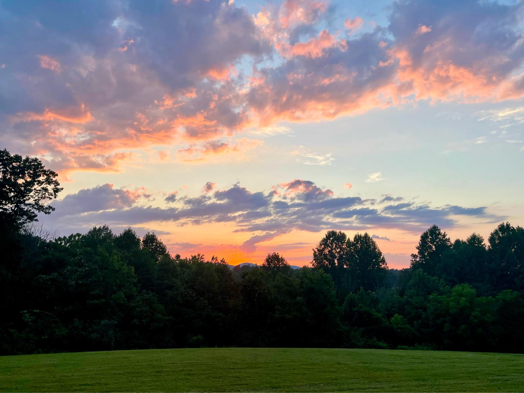 The Wedding Website of Allie Leonard and Jed Leonard