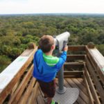 Myakka River State Park