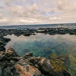 Makapu'u Tide Pools
