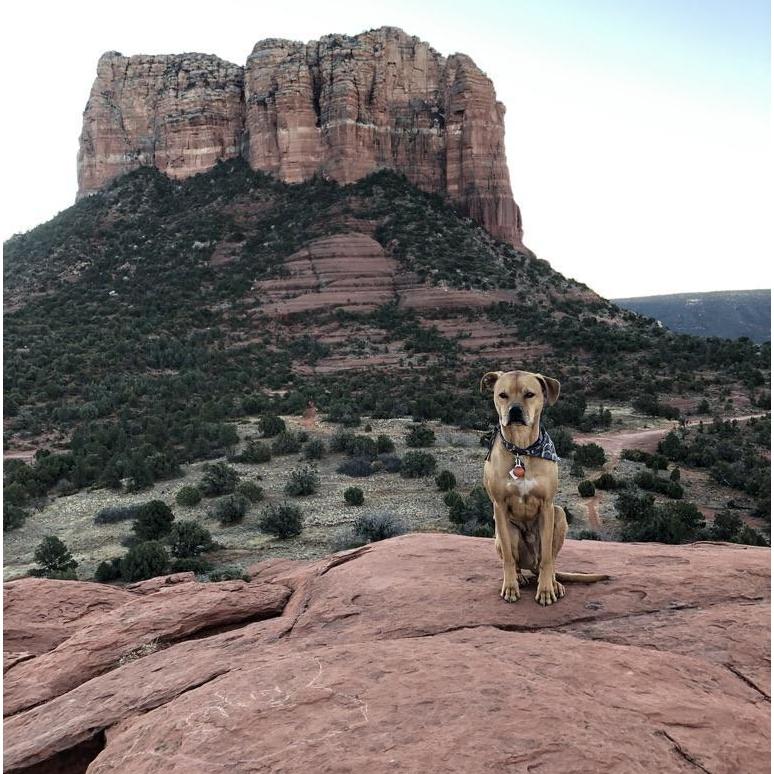 Sedona, Bell Rock