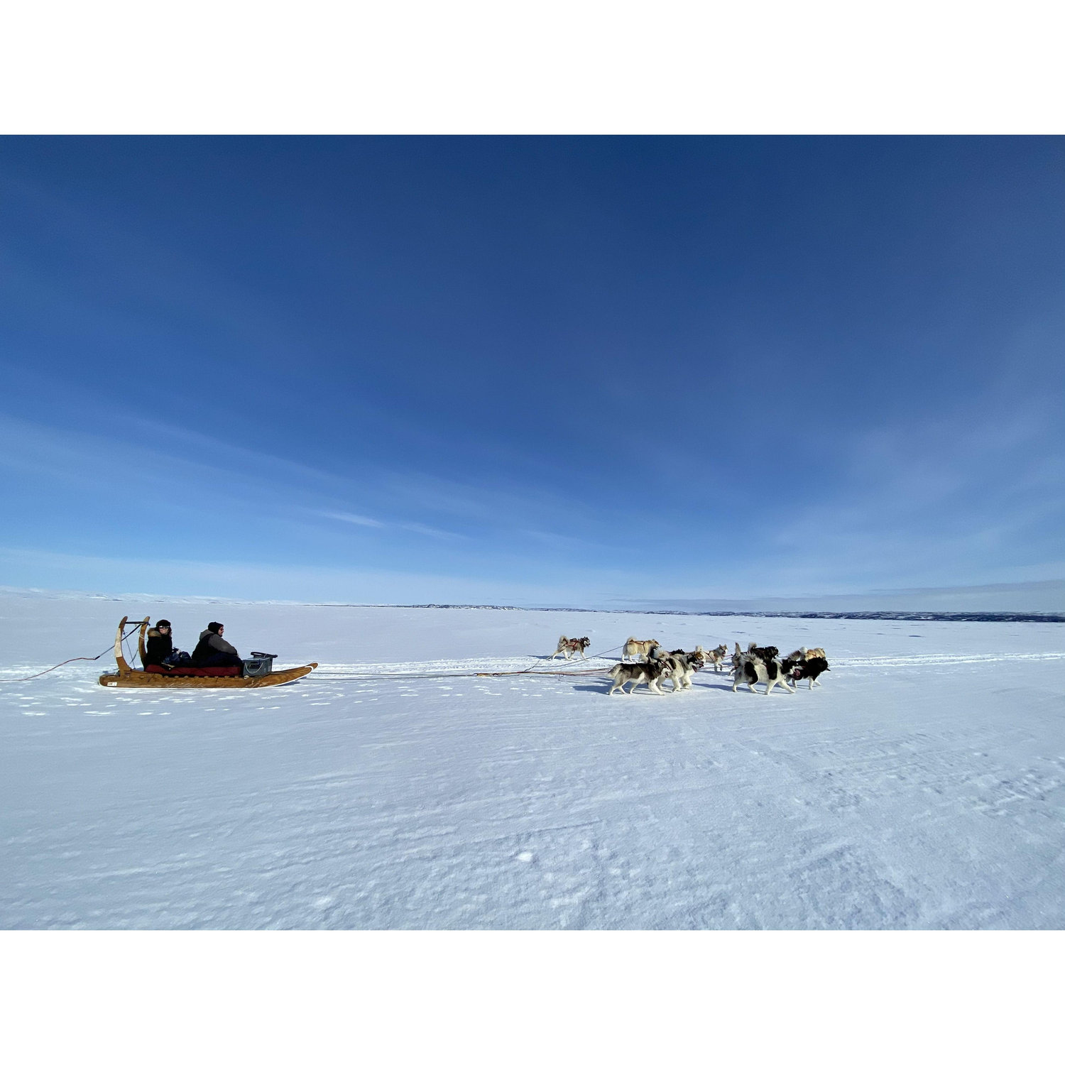 Dog sledding in Iqaluit, 2023
