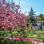 Queens Botanical Garden