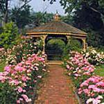 Cutler Botanic Garden