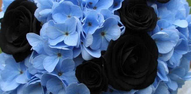 The Wedding Website of Patricia B and Caleb Cassada