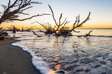 Edisto Beach