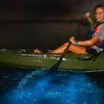 Sunset Bioluminescence Tour