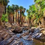 Indian Canyons
