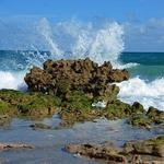 Nature Conservancy Blowing Rocks