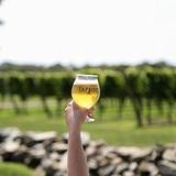 Newport Breweries & Wineries