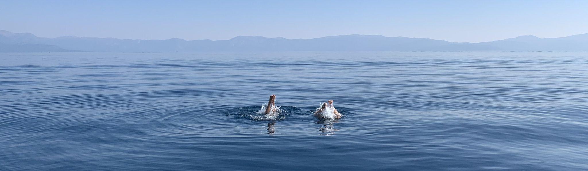 The Wedding Website of Lynn LaVecchia and Aaron Fox