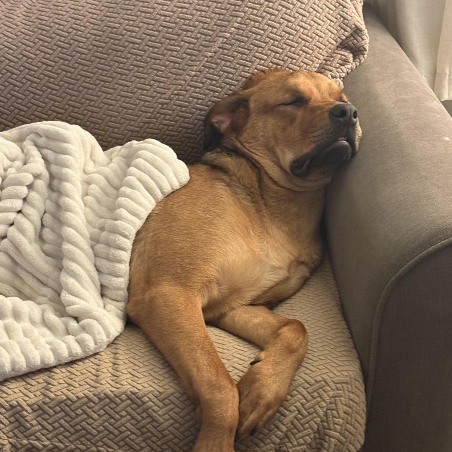 Jax in his natural habitat
