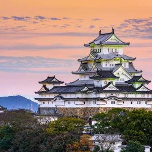 🏯 Historia en las murallas de Osaka - Entrada al Castillo de Osaka o al Castillo de Himeji