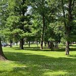 Wakanda Park