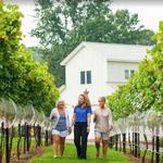 Davesté Vineyards