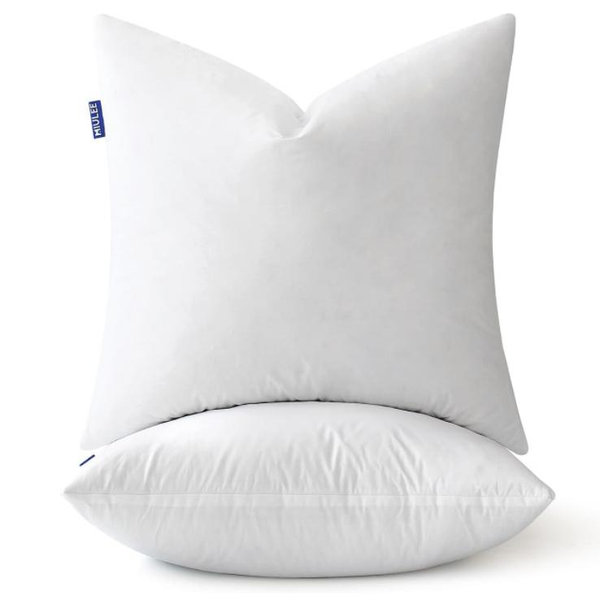 Goose Feather Down Pillow Inserts - 22"x22", 2 Pack