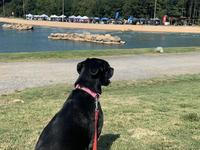 U.S. National Whitewater Center