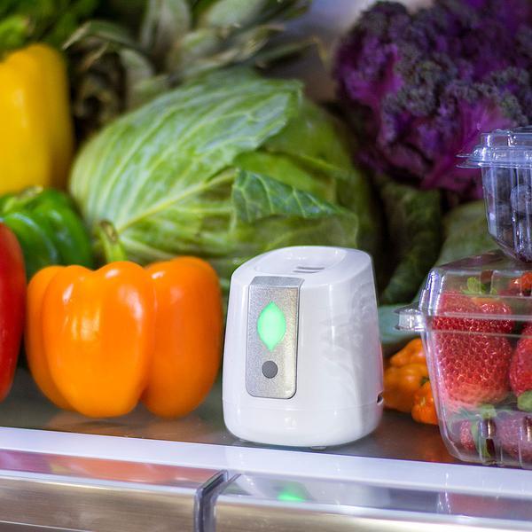 pureAir FRIDGE Refrigerator Purification