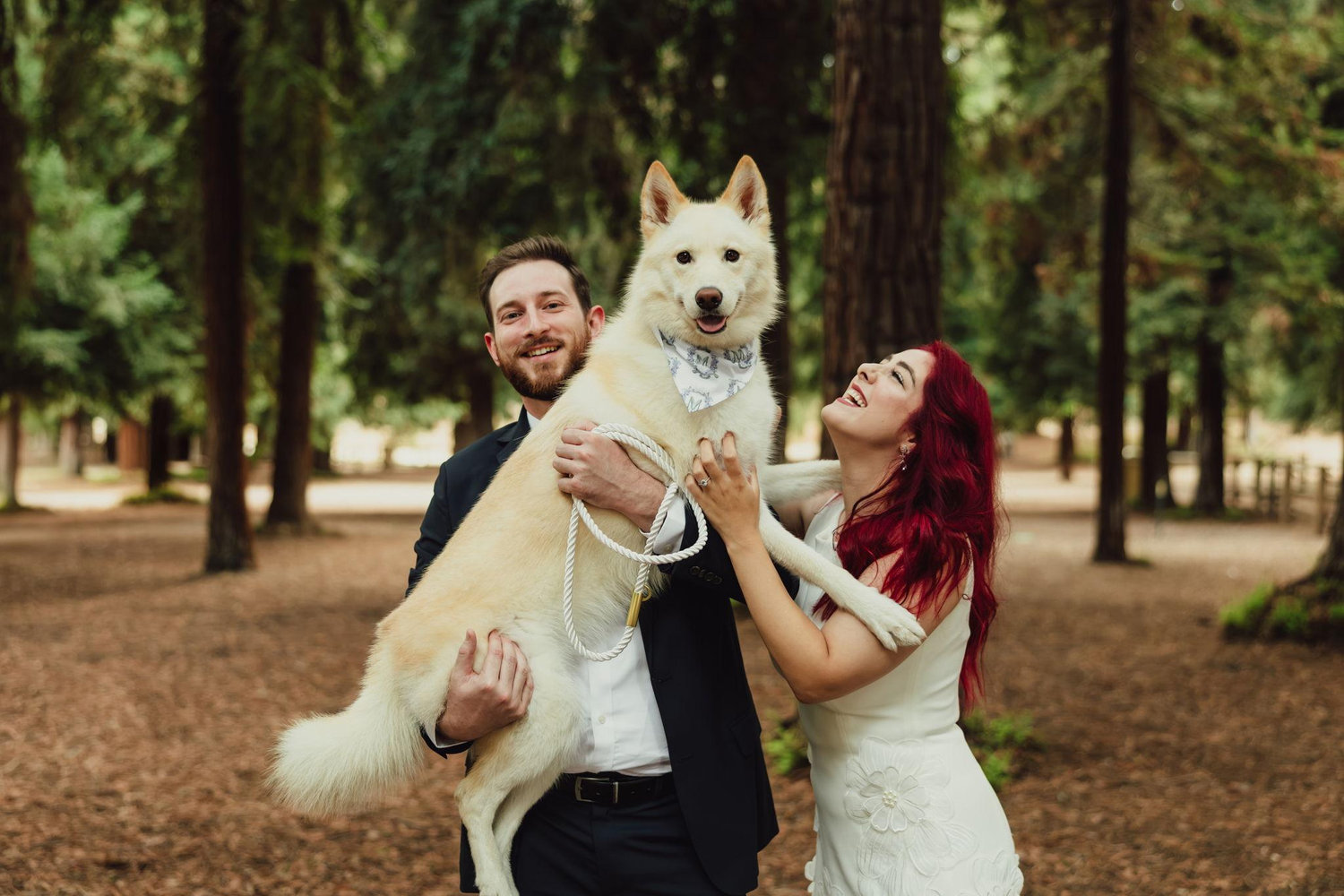 The Wedding Website of Megan Sweeney and Michael Donovan