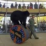 Clark's Bears
