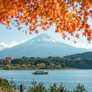 Honeymoon to Japan