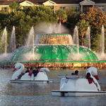 Lake Eola Park Swan Boat Rentals