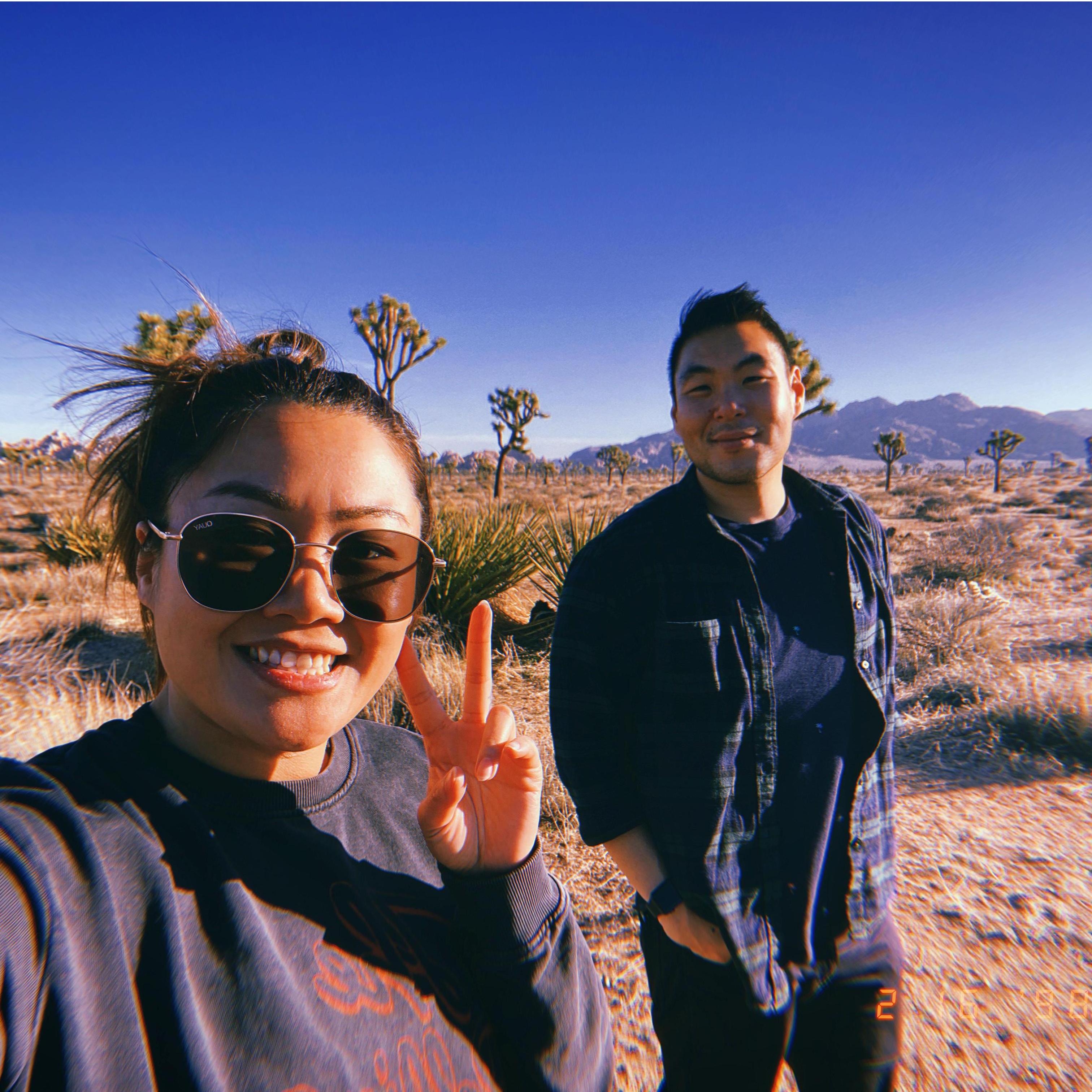 Joshua Tree 🌵