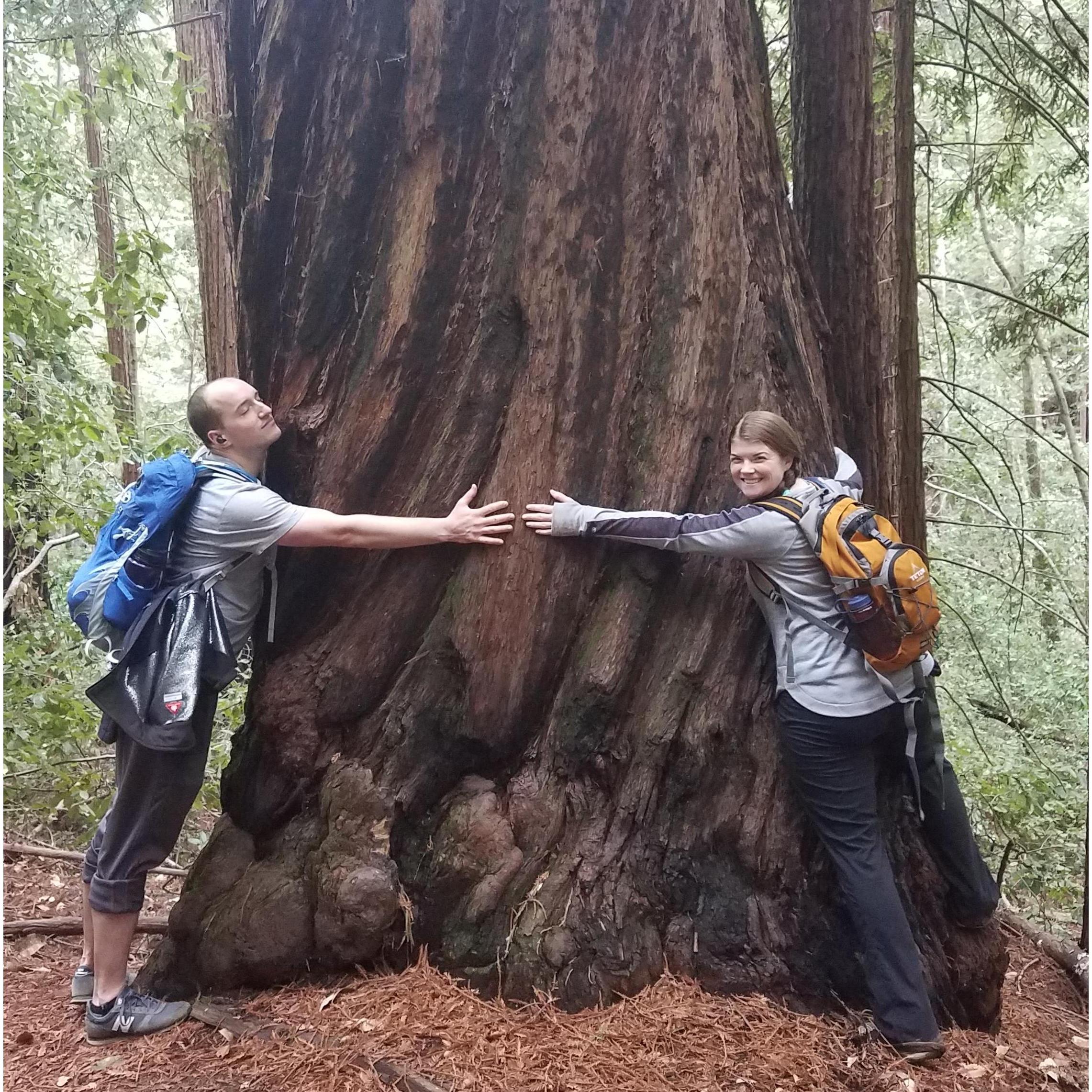 Visitng the Redwoods for Jacob's 30th Birthday