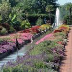 Daniel Stowe Botanical Garden