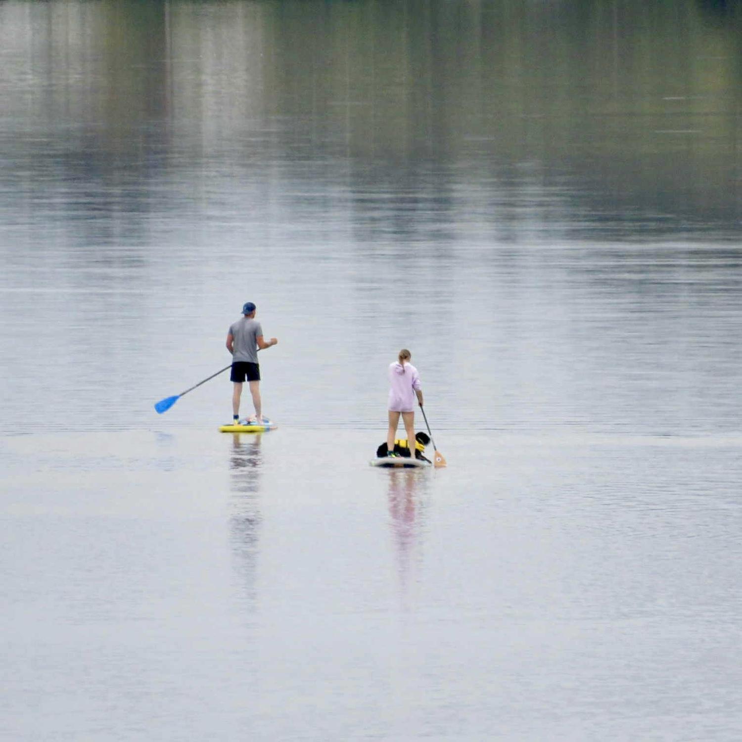 Our favourite summer activity