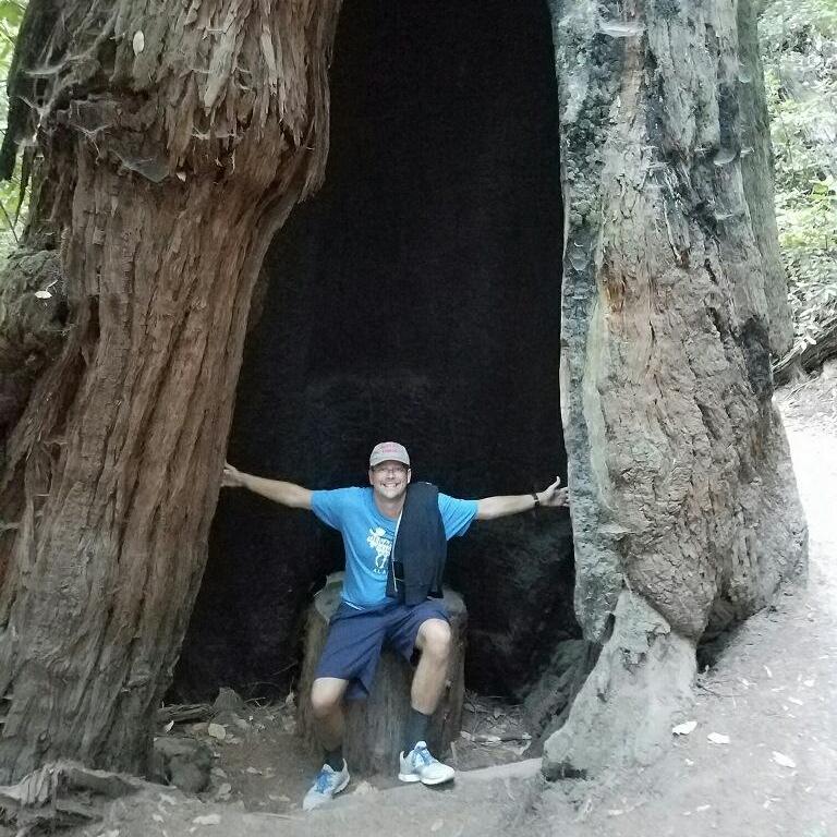 Hiking the red woods