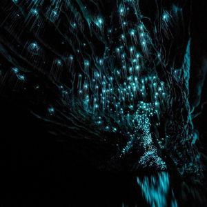Waitomo Glowworm Caves Tour On Our Honeymoon
