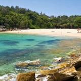 Manly and Shelly Beach