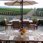 Adelsheim Vineyards