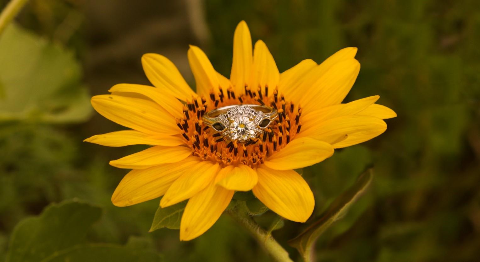 The Wedding Website of Becky Bajt and Drew Gernenz