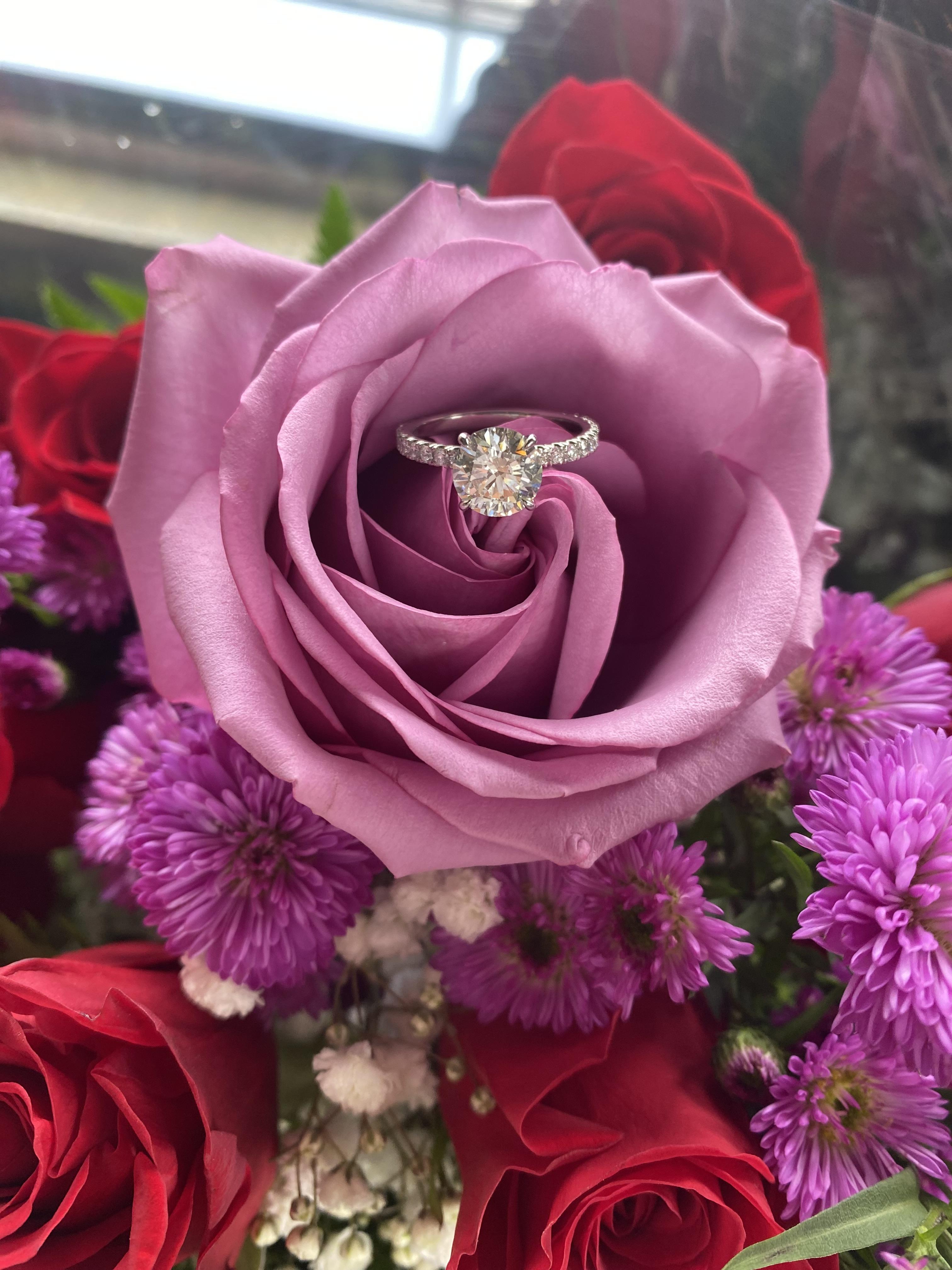 The Wedding Website of Nicole Novello and Christian Pappas