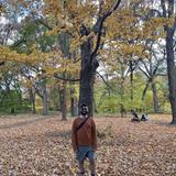 Arnold Arboretum of Harvard University
