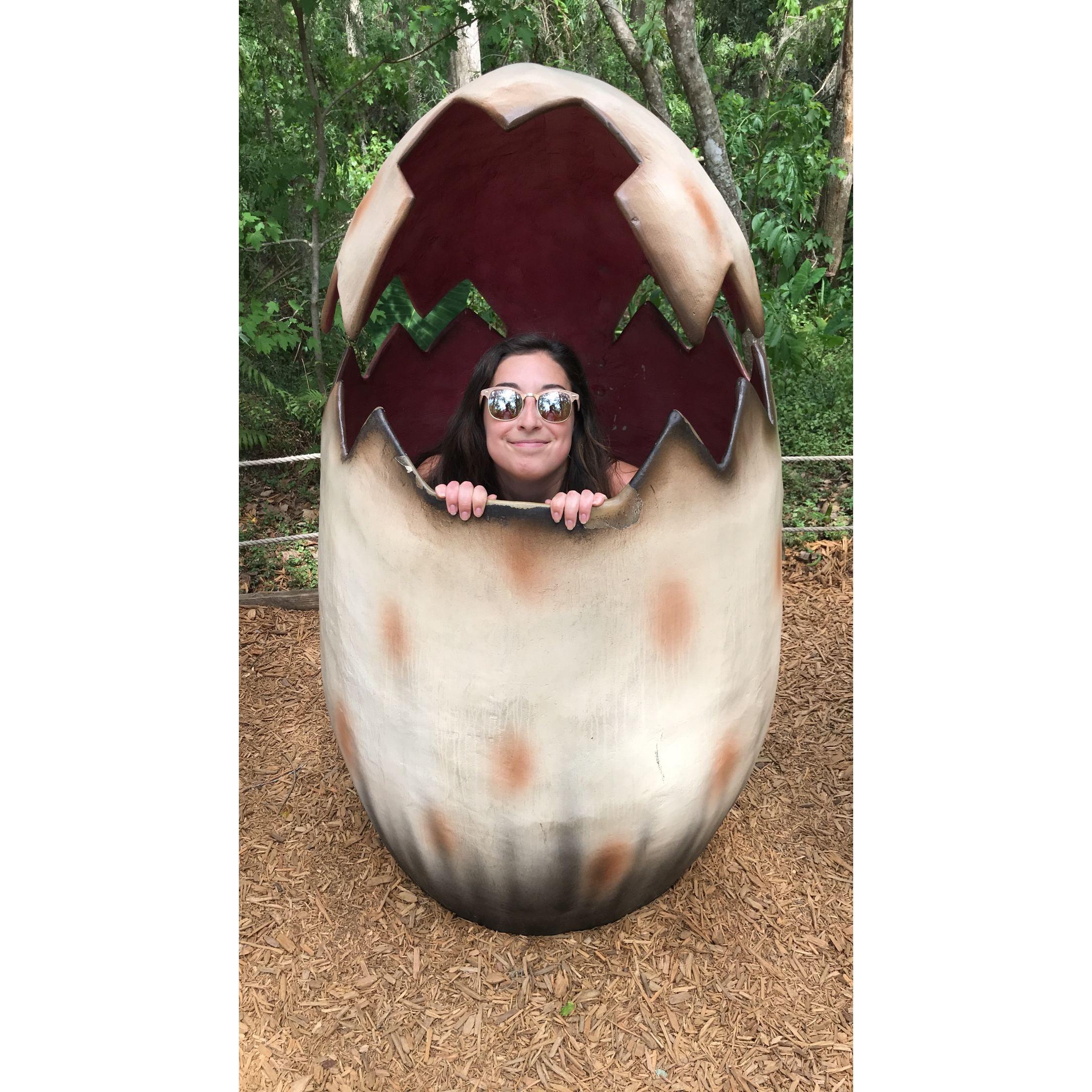 Dinosaur World Fall Break 2017