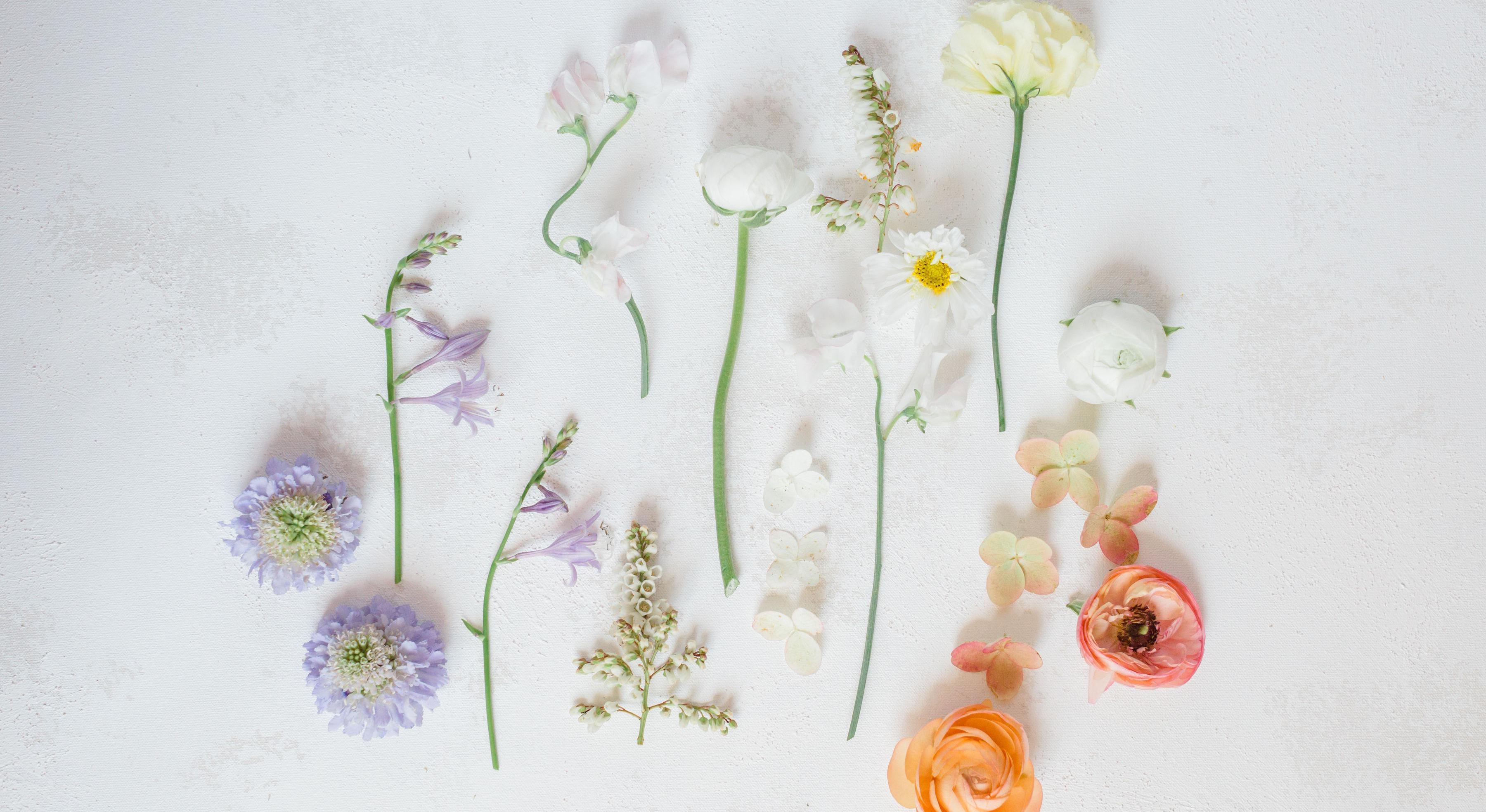 Footer image