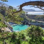Point Lobos State Natural Reserve