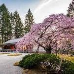 Portland Japanese Garden
