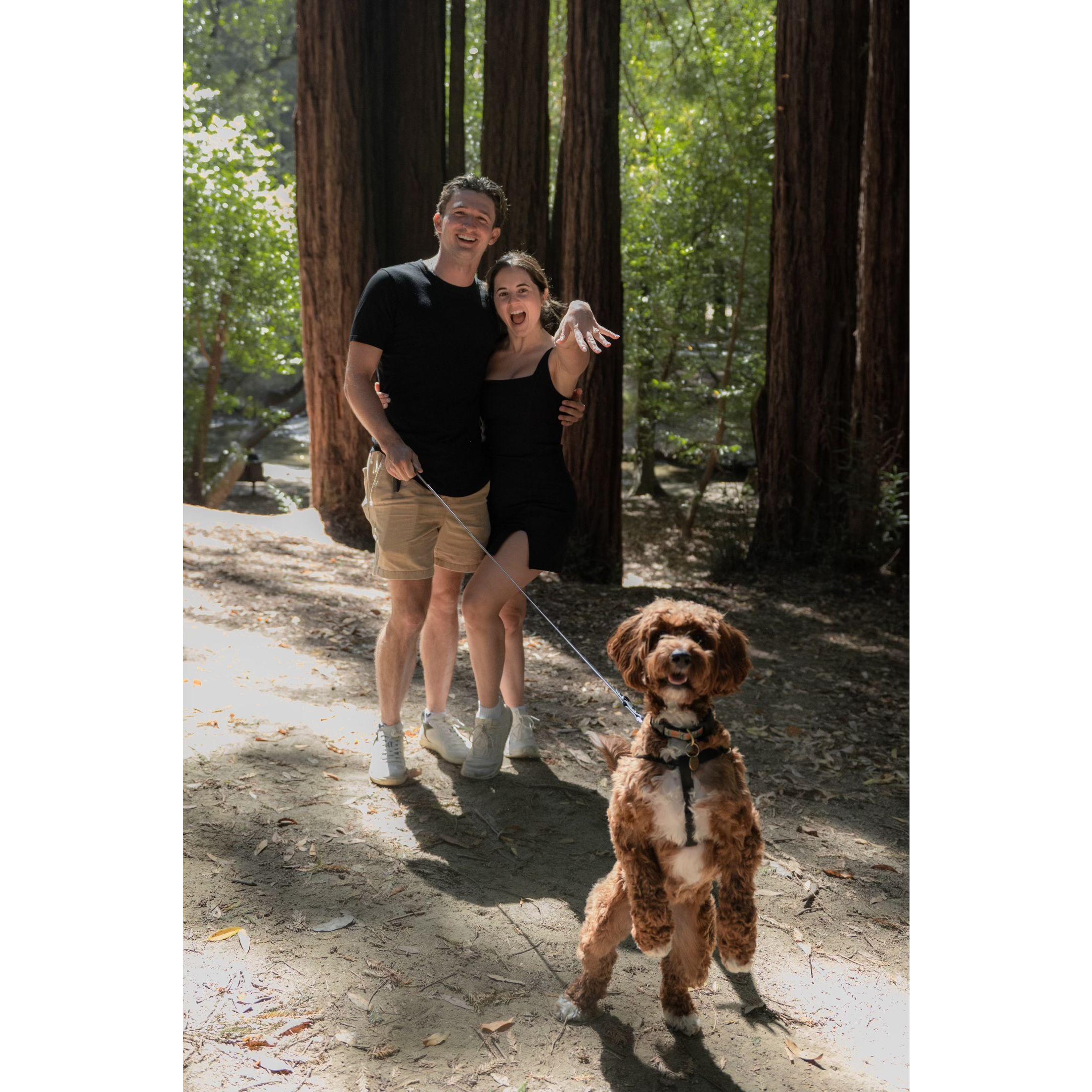 The day we got engaged :)